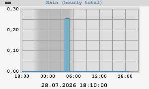 rain